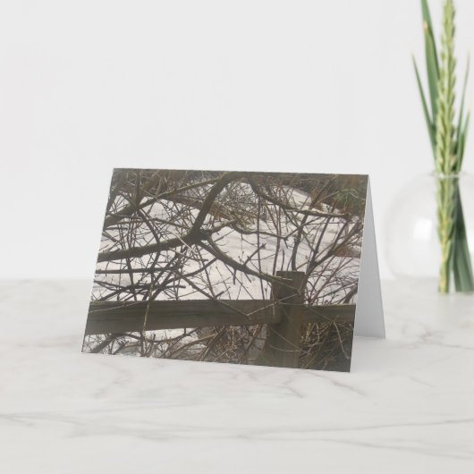 雪の森 シーズンカード (正面)