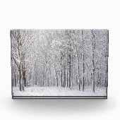 雪の森 フォトブロック (正面)
