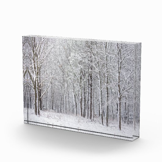 雪の森 フォトブロック (右)
