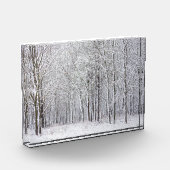 雪の森 フォトブロック (左)