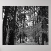 雪の森 ポスター (正面)