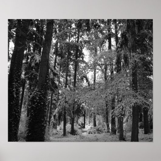 雪の森 ポスター (正面)