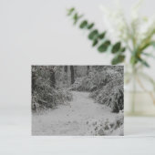 雪の森 ポストカード (スタンド正面)