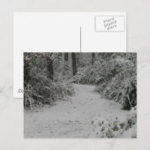 雪の森 ポストカード (正面/裏面)