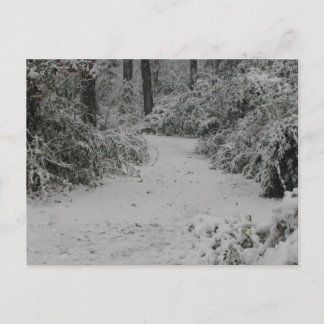 雪の森 ポストカード