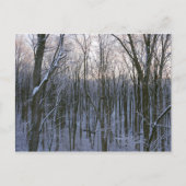 雪の森 ポストカード (正面)