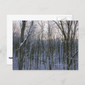 雪の森 ポストカード (正面/裏面)