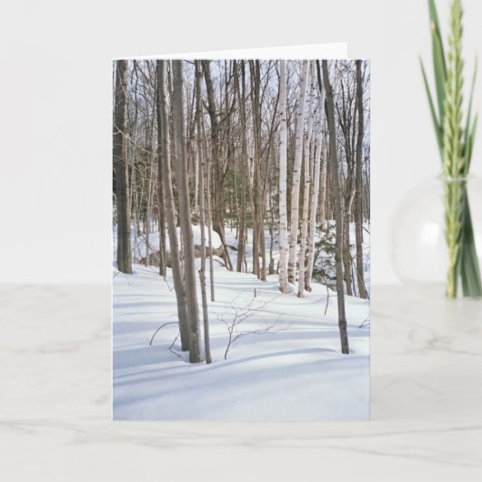 雪の樺の木 シーズンカード (正面)