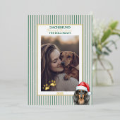 雪の水の色を介してダシュント 箔シーズンカード (立ち正面)