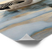 雪の池のアヒル ポスター (角)