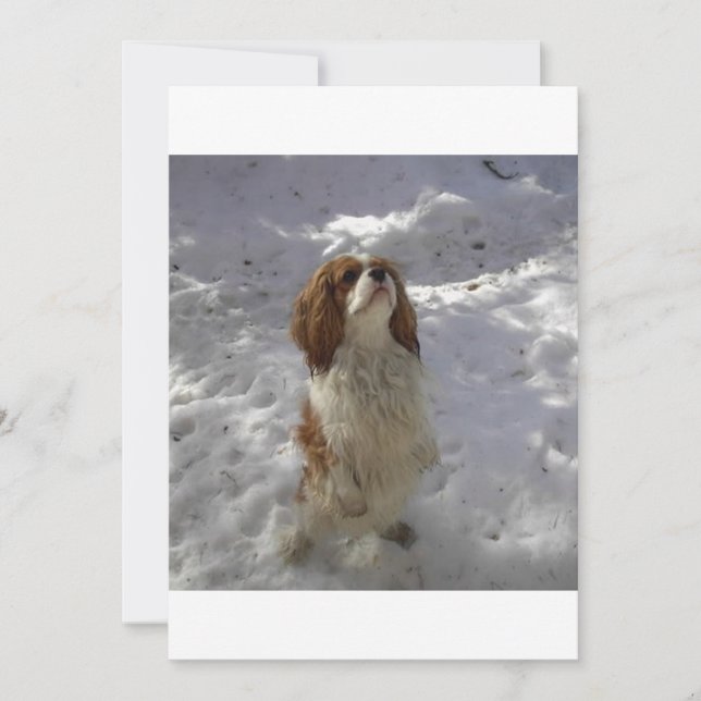 雪の洞窟 (正面)