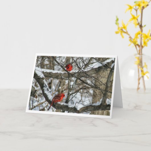 雪の深紅色 カード (黄色い花)