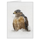 雪の準備ができている (正面)