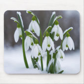 雪の滴 マウスパッド (正面)