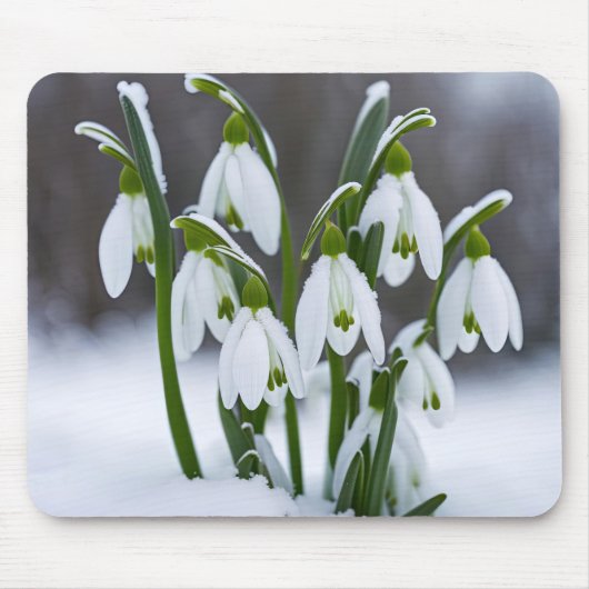 雪の滴 マウスパッド (正面)