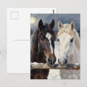 雪の牧場の二頭の馬 | つながりを保つ ポストカード (正面/裏面)