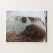 雪の犬 ジグソーパズル (横)