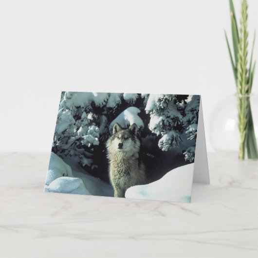 雪の狼 サンキューカード (正面)