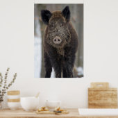 雪の猪 ポスター (キッチン)