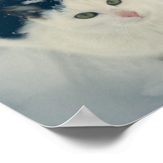 雪の猫 ポスター (角)