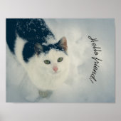 雪の猫 ポスター (正面)