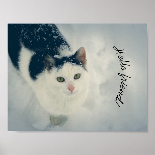 雪の猫 ポスター (正面)