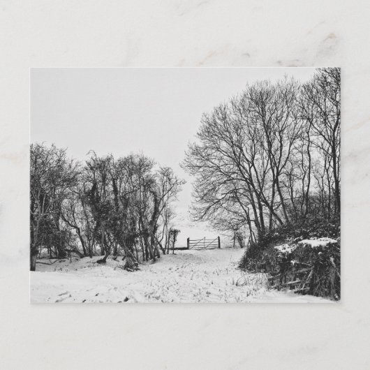 雪の田舎 ポストカード (正面)