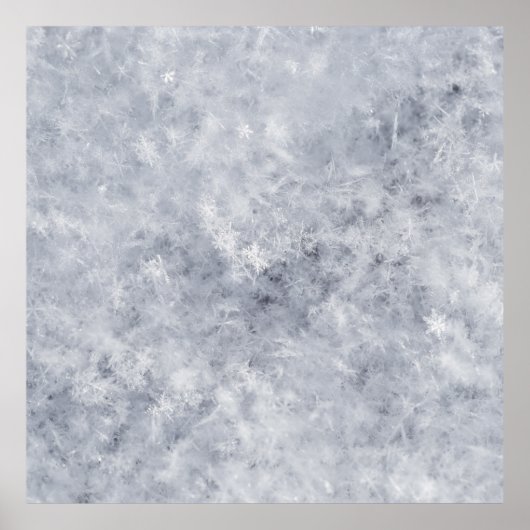 雪の白いクリスマス ポスター (正面)