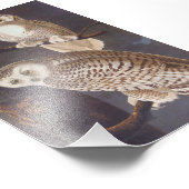 雪の白いフクロウと夜のオードゥボンヴィンテージアート フォトプリント            (角)