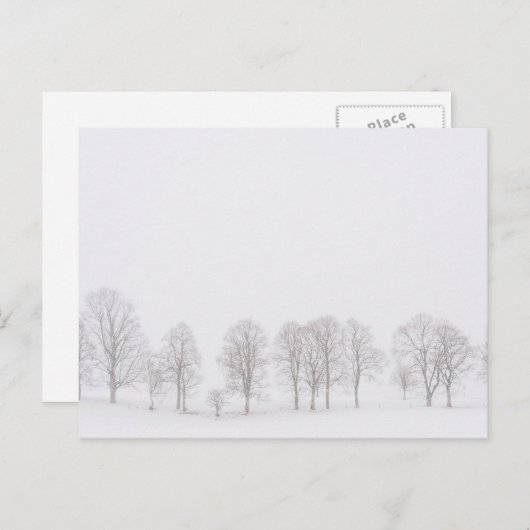 雪の白い世界のはがきに不毛の木 ポストカード (正面/裏面)