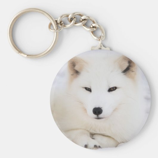 雪の白い北極キツネ キーホルダー (正面)