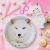 雪の白い北極キツネ ペーパープレート (パーティー)