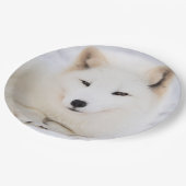 雪の白い北極キツネ ペーパープレート (アングル)