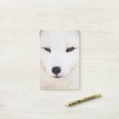 雪の白い北極キツネ ポストイット (デスク上)