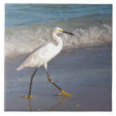 雪の白い緑 タイル (正面)