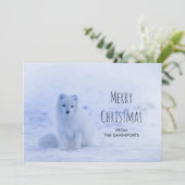 雪の白い背景の可愛い北極狐 シーズンカード (スタンド正面)