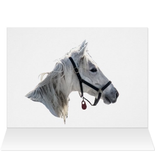 雪の白い馬 (内部横(上))