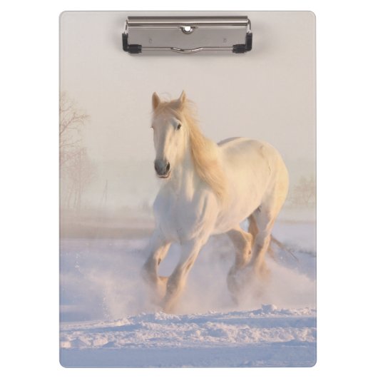 雪の白い馬 クリップボード (正面)