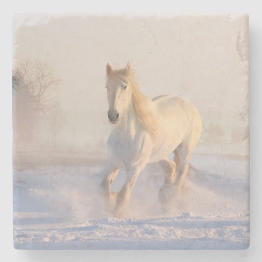 雪の白い馬 ストーンコースター (正面)