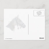 雪の白い馬 ポストカード (裏面)