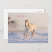 雪の白い馬 ポストカード (正面/裏面)