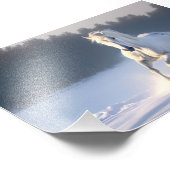 雪の白い馬、馬、冬 フォトプリント            (角)