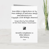 雪の白 カード (裏面)