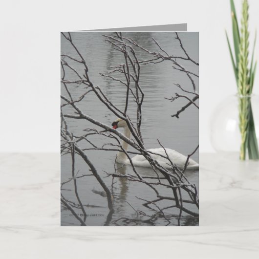 雪の白 カード (正面)