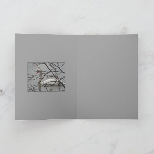 雪の白 カード (内部)