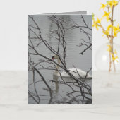 雪の白 カード (黄色い花)