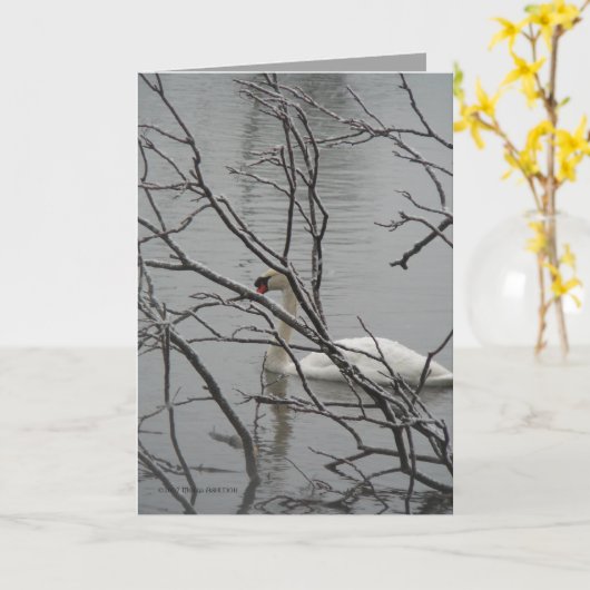 雪の白 カード (黄色い花)