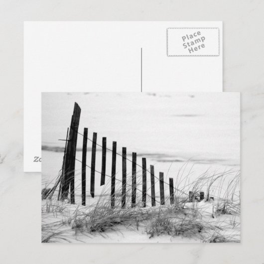 雪の砂丘 ポストカード (正面/裏面)