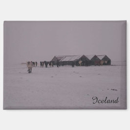 雪の磁石にアイスランドの馬 マグネット