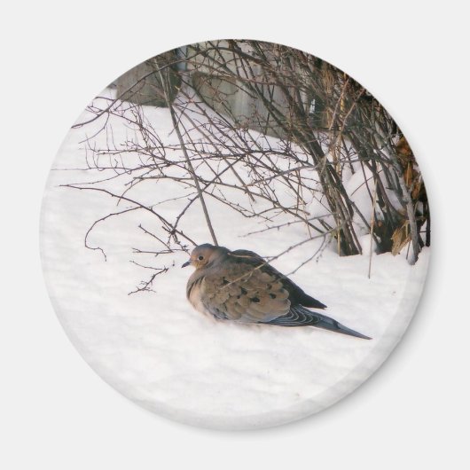 雪の磁石の中で鳩 マグネット (正面)